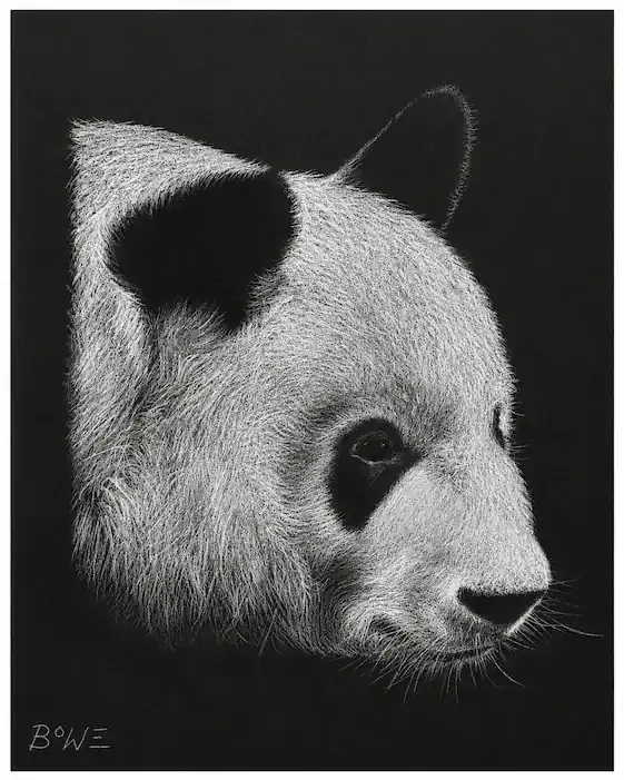Original artwork by John D. Bowe — study