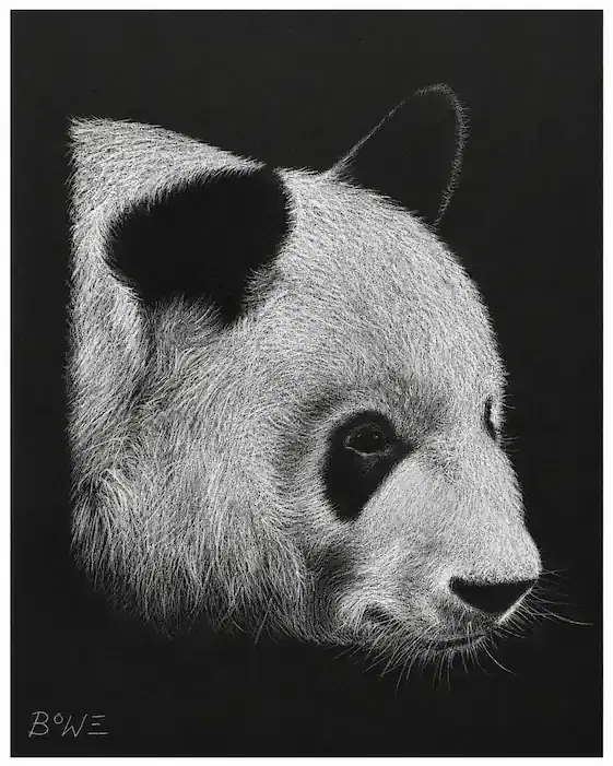 Original artwork by John D. Bowe — study